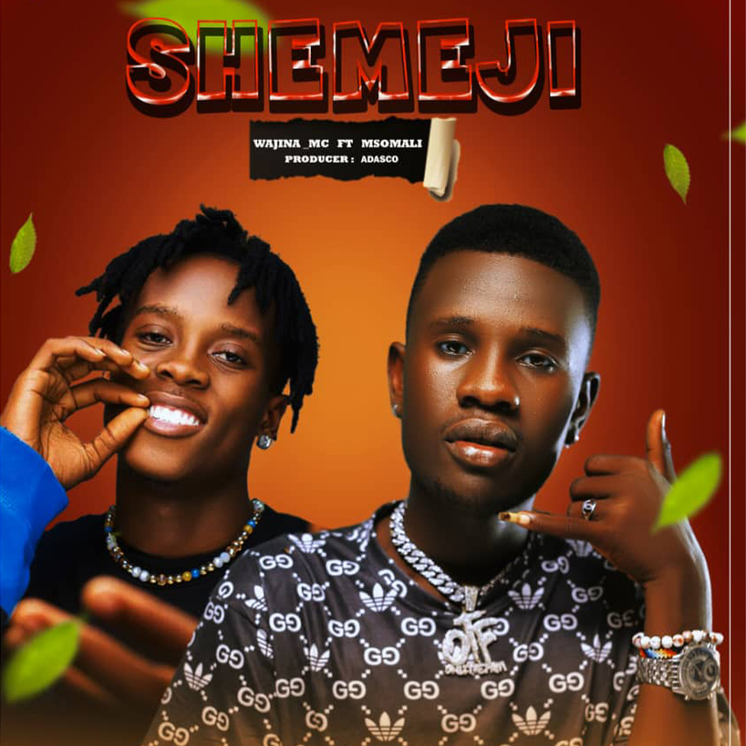 AUDIO Wajina Mc Ft. Msomali - Shemeji MP3 DOWNLOAD - IK MZIKI